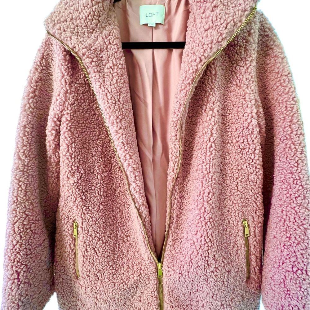 LOFT Women’s Blush Teddy Jacket with Gold Zipper